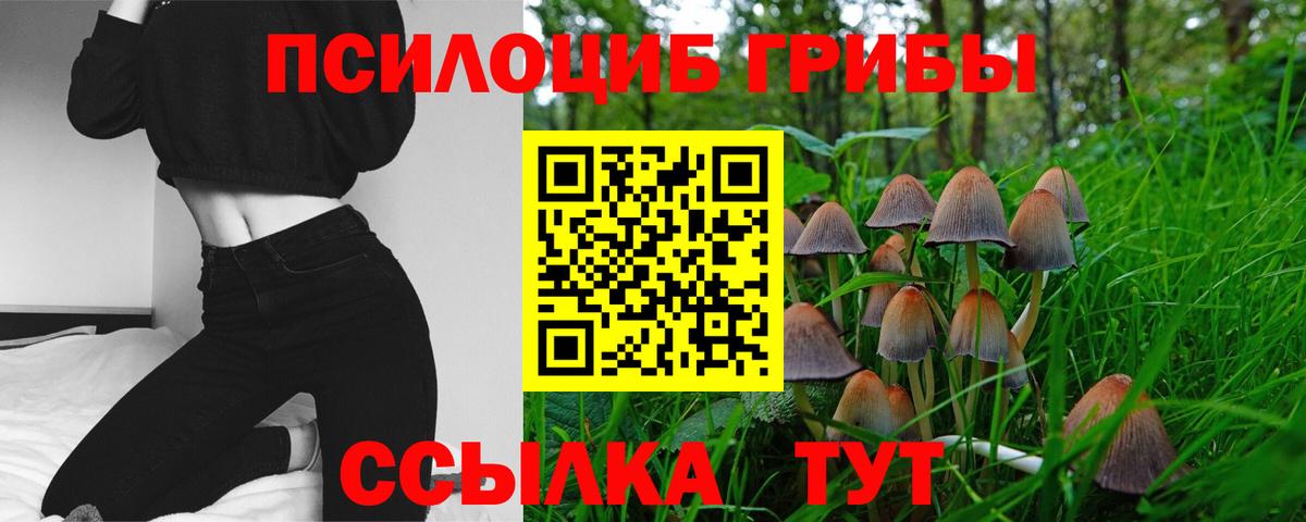 Галлюциногенные грибы GOLDEN TEACHER  Галлюциногенные грибы ЛСД  Соль-Илецк  Вход с VPN 